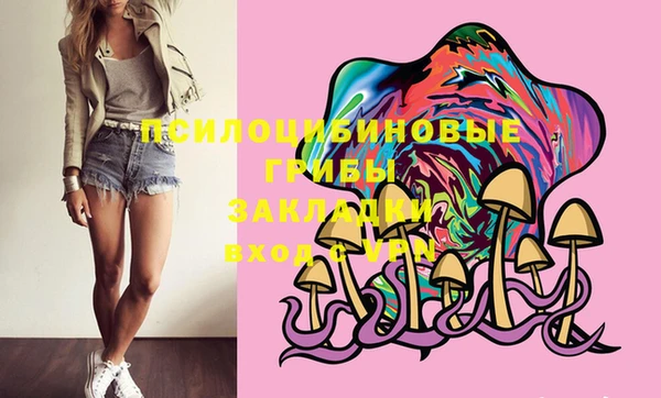 a pvp Краснослободск