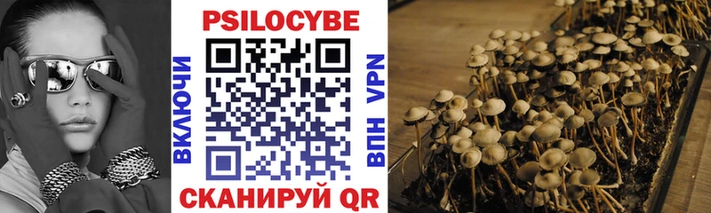 Галлюциногенные грибы MAGIC MUSHROOMS  Купить  Бердск 